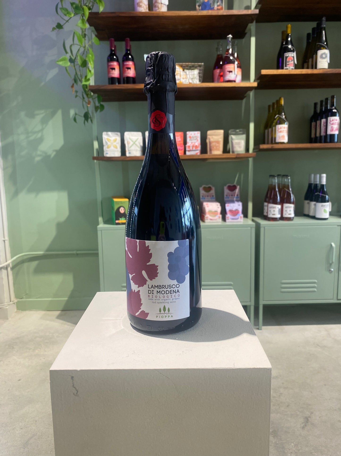 Cantina della Pioppa Lambrusco di Modena NV