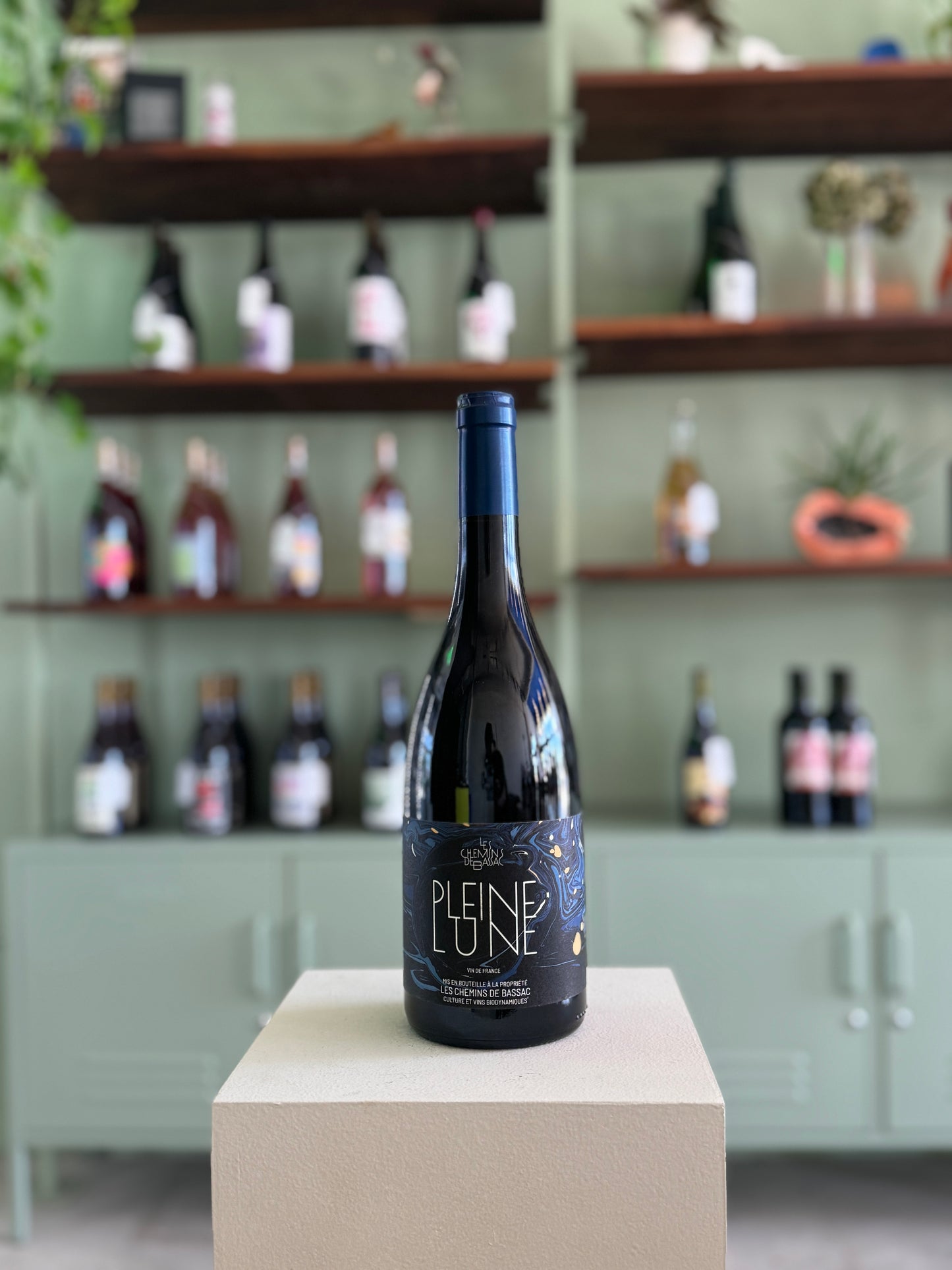 Chemins de Bassac Pleine Lune 2021