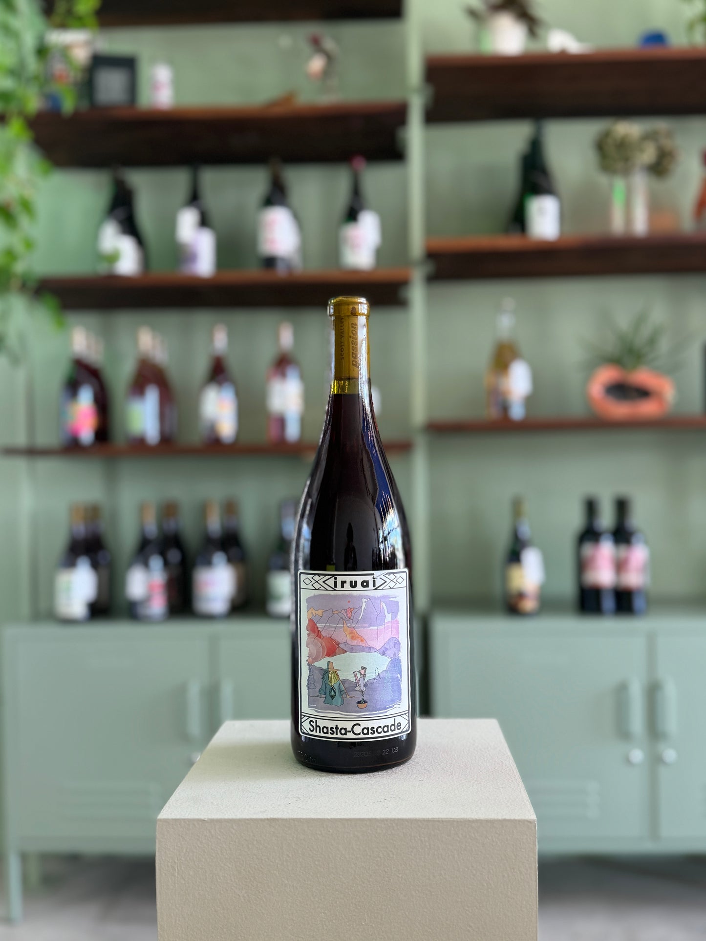 Iruai Shasta Cascade 2022