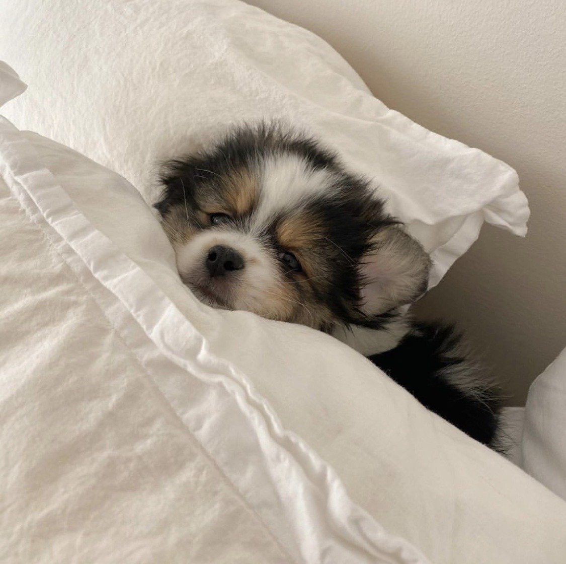 Testing new product additional flow