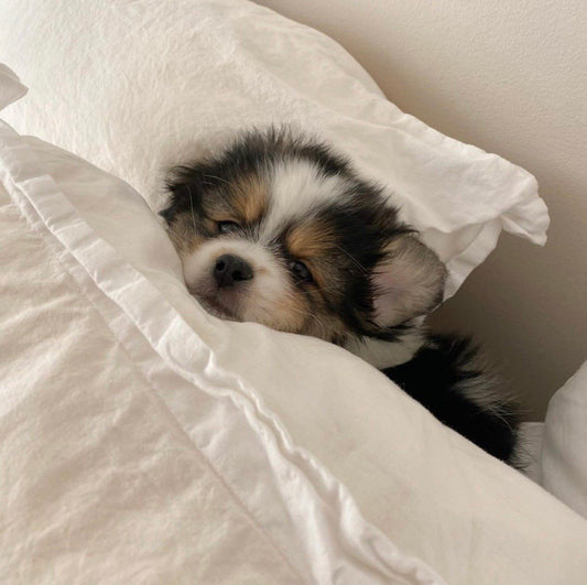 Testing new product additional flow